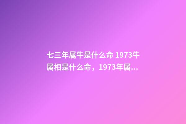 七三年属牛是什么命 1973牛属相是什么命，1973年属牛是什么命运-第1张-观点-玄机派